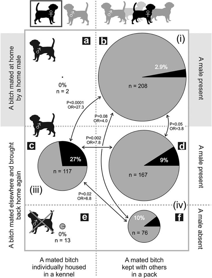 grafico sulla fertilità canina