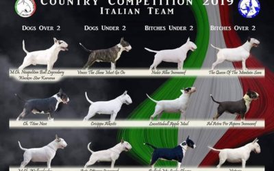 Country Competition 2019