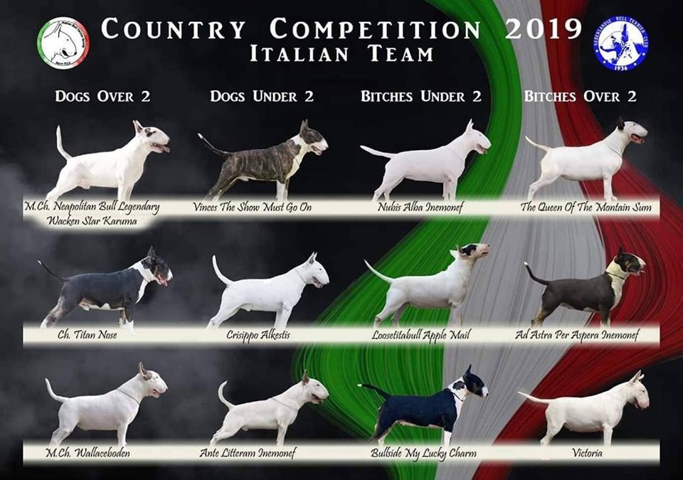 Country Competition 2019